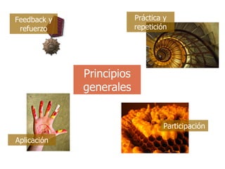 Principios generales Feedback y refuerzo Práctica y repetición Aplicación Participación 