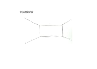 articulaciones
 