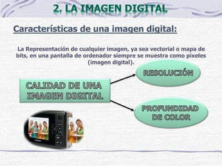 Características de una imagen digital:
La Representación de cualquier imagen, ya sea vectorial o mapa de
bits, en una pantalla de ordenador siempre se muestra como píxeles
(imagen digital).
 