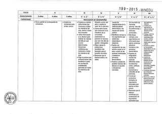 Diseño curricular 199   2015