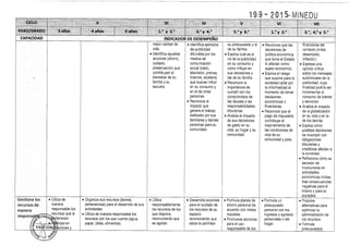 Diseño curricular 199   2015