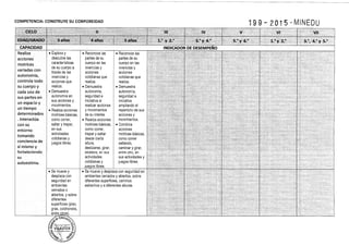 Diseño curricular 199   2015