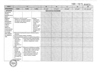 Diseño curricular 199   2015