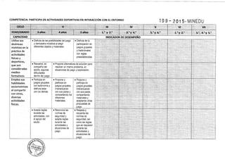Diseño curricular 199   2015