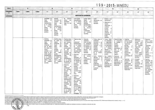 Diseño curricular 199   2015