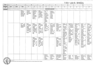 Diseño curricular 199   2015
