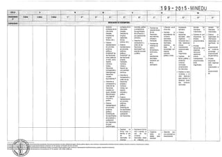 Diseño curricular 199   2015
