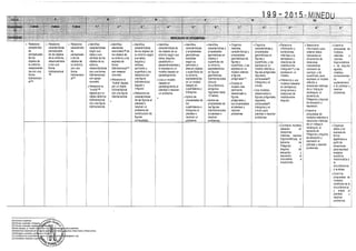 Diseño curricular 199   2015