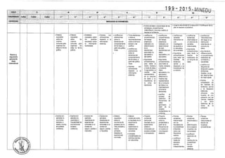Diseño curricular 199   2015