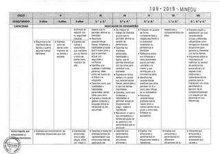 Diseño curricular 199   2015