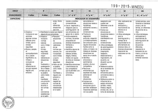 Diseño curricular 199   2015