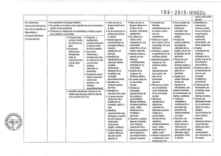 Diseño curricular 199   2015