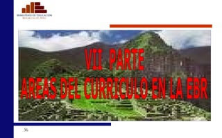 VII  PARTE AREAS DEL CURRICULO EN LA EBR 