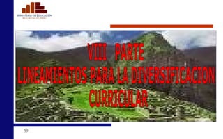 VIII  PARTE LINEAMIENTOS PARA LA DIVERSIFICACION CURRICULAR 