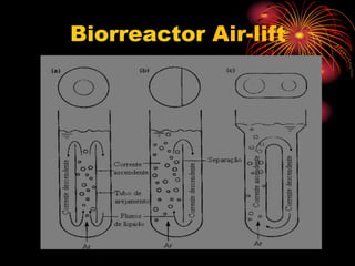 Biorreactor Air-lift
 