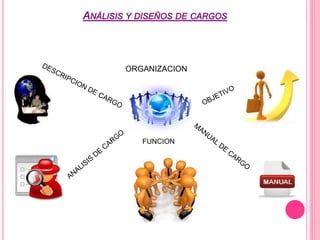 ORGANIZACION 
FUNCION 
 