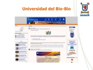 Universidad del Bio-Bio
 