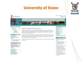 University of Essex
 