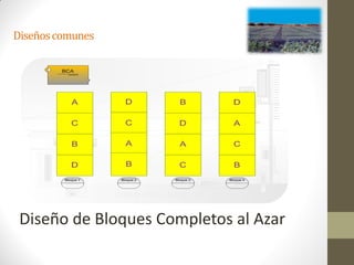 Diseños comunes




 Diseño de Bloques Completos al Azar
 