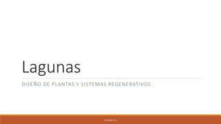 Lagunas
DISEÑO DE PLANTAS Y SISTEMAS REGENERATIVOS
UFB SEM-22-2
 