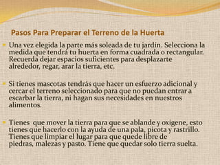 Pasos Para Preparar el Terreno de la Huerta
 Una vez elegida la parte más soleada de tu jardín. Selecciona la
  medida que tendrá tu huerta en forma cuadrada o rectangular.
  Recuerda dejar espacios suficientes para desplazarte
  alrededor, regar, arar la tierra, etc.

 Si tienes mascotas tendrás que hacer un esfuerzo adicional y
  cercar el terreno seleccionado para que no puedan entrar a
  escarbar la tierra, ni hagan sus necesidades en nuestros
  alimentos.

 Tienes que mover la tierra para que se ablande y oxigene, esto
  tienes que hacerlo con la ayuda de una pala, picota y rastrillo.
  Tienes que limpiar el lugar para que quede libre de
  piedras, malezas y pasto. Tiene que quedar solo tierra suelta.
 