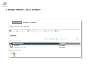 4. Seleccionamos el archivo a insertar: