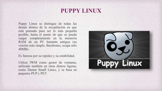 PUPPY LINUX
Puppy Linux se distingue de todas las
demás distros de la recopilación en que
está pensada para ser lo más pequeña
posible, hasta el punto de que se puede
cargar completamente en la memoria
RAM de un PC bastante antiguo (su
versión más simple, Barebones, ocupa sólo
40MB).
Es famosa por su rapidez y su estabilidad.
Utiliza JWM como gestor de ventanas,
utilizado también en otras distros ligeras,
como Damm Small Linux, y se basa en
paquetes PUP y PET.
 