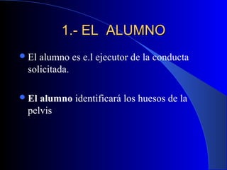 1.- EL ALUMNO
 Elalumno es e.l ejecutor de la conducta
 solicitada.

 Elalumno identificará los huesos de la
 pelvis
 