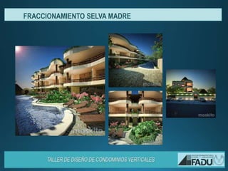 FRACCIONAMIENTO SELVA MADRE
 