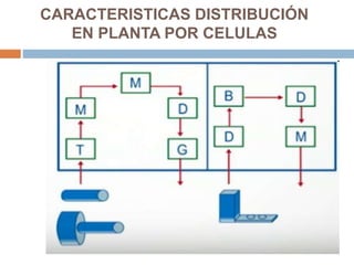 CARACTERISTICAS DISTRIBUCIÓN
EN PLANTA POR CELULAS
 