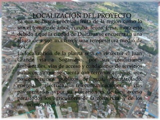 LOCALIZACIÓN DEL PROYECTO
Ya que se busca procesar fruta de la región como lo
son el tomate de árbol, curuba, feijoa, fresa, mora esto
debido a que la ciudad de Duitama se encuentra a una
altura de 2.590 m.s.n.m y una temperatura medio de
16ºC.
La localización de la planta será en el sector el Juan
Grande vía a Sogamoso, por sus condiciones
ambientales, vías de acceso y condiciones de servicios
públicos, ya que se cuenta con terrenos amplios, que
posee servicios públicos de agua, alcantarillado,
energía     eléctrica,    telecomunicaciones,       vías
pavimentadas y por su ubicación es de fácil acceso
para todos los agricultores de la zona rural y de los
municipios aledaños
 
