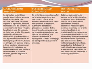 SOSTENIBILIDAD                       SOSTENIBILIDAD                      SOSTENIBILIDAD
AMBIENTAL                            ECONOMICA                           SOCIAL
La agricultura sostenible es         Se pretende comprar al agricultor   Sabemos que socialmente
aquella que contribuye a mejorar     de la región su producto a un       siempre se ha tenido relegado a
la calidad ambiental y los           mejor precio, ofrecer a los         un segundo plano el desarrollo
recursos básicos de los cuales       empleados contratados un salario    rural, es decir, nunca se han
depende la agricultura, satisface    más justo con el respectivo         destinado los recursos
las necesidades de alimentos, es     cubrimiento de todas las            económicos necesarios para
económicamente viable y mejora       prestaciones sociales de ley,       tecnificar el campo y por lo tanto
la calidad de vida del productor     incentivándolos con programas       mejorar la calidad de los
de frutas y su familia. Un manejo    de formación y capacitación para    productos así como de aumentar
sostenible de los agros              mejorar su calidad de vida,         considerablemente la producción
ecosistemas queda definido por       además de beneficiar al             alimentaria y allí especialmente el
una equilibrada combinación de       municipio de Duitama con el pago    sector frutícola ha soportado el
tecnologías y actividades, basada    de los impuestos que genere la      casi total abandono de las
en principios de siembra limpios,    empresa.                            instituciones gubernamentales,
a fin de mantener o incrementar                                          pues el cultivo de frutas en la
la producción frutícola en los                                           región Cundiboyacense se hace
niveles necesarios para satisfacer                                       artesanalmente, desprovisto de
la demanda en la ciudad de                                               toda técnica en pos de mejorar la
Duitama, pero sin degradar el                                            cosecha y recolección.
ambiente.
 
