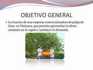 OBJETIVO GENERAL
 la creación de una empresa comercializadora de pulpa de
  fruta en Duitama, que permita aprovechar la oferta
  existente en la región y satisfacer la demanda.
 