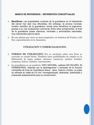 MARCO DE REFERENCIA – REFERENTES CONCEPTUALES
 Beneficios: Las propiedades curativas de la guanábana en el tratamiento
del cáncer han sido muy difundidas. Sin embargo, la annona muricata,
nombre científico de la guanábana, brinda otros beneficios al organismo,
gracias a su rica composición nutricional. Entre otros componentes, el fruto
de la guanábana posee vitaminas, minerales y aminoácidos esenciales,
muy importantes para la salud.
 Es una planta que crece en áreas tropicales, en América del Centro y del
Sur, especialmente en la Amazonía.
UTILIZACION Y COMERCIALIZACION.
 FORMAS DE UTILIZACION: Por su excelente sabor esta fruta se
consume en estado fresco. También tiene posibilidades de empleo en la
fabricación de jugos, pulpas, néctares, conservas, jarabes, helados,
compotas, dulces, sorbetes, concentrados.
 La guanábana es un producto 100% NATURAL, pastoso NO DILUIDO, NI
FERMENTADO, obtenido por la desintegración y tamizado de la fracción
comestible de fruta de Guanábana fresca , sana, madura y limpia. La pulpa
es refinada en malla de 0.5 mm. Homogeneizada, deaireada, esterilizada y
empacada asépticamente para su conservación.
 