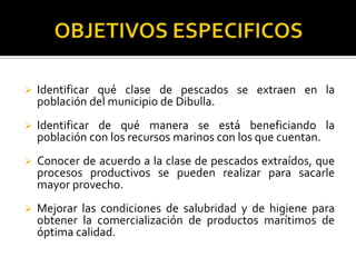    Identificar qué clase de pescados se extraen en la
    población del municipio de Dibulla.
   Identificar de qué manera se está beneficiando la
    población con los recursos marinos con los que cuentan.
   Conocer de acuerdo a la clase de pescados extraídos, que
    procesos productivos se pueden realizar para sacarle
    mayor provecho.
   Mejorar las condiciones de salubridad y de higiene para
    obtener la comercialización de productos marítimos de
    óptima calidad.
 