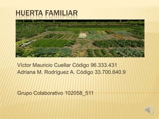 HUERTA FAMILIAR
Víctor Mauricio Cuellar Código 96.333.431
Adriana M. Rodríguez A. Código 33.700.640.9
Grupo Colaborativo 102058_511
 