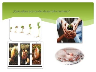  ¿Qué sabes acerca del desarrollo humano? 
 