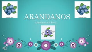 ARANDANOS
Arandanos del Perú
 
