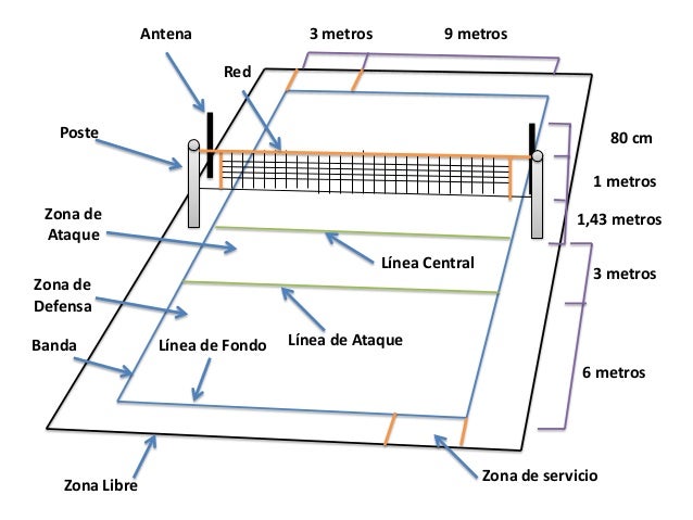 Resultado de imagen para voleibol cancha