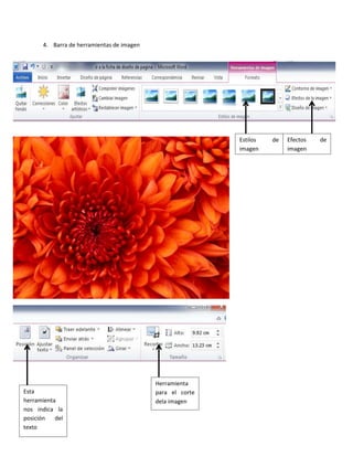 4. Barra de herramientas de imagen

Estilos
imagen

Esta
herramienta
nos indica la
posición
del
texto

Herramienta
para el corte
dela imagen

de

Efectos
imagen

de

 