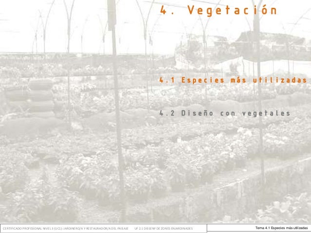 Diseño de zonas ajardinadas