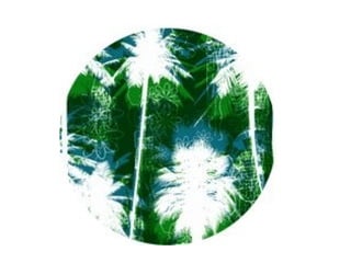 Diseño e Ilustracion