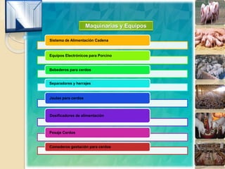Maquinarias y Equipos
Sistema de Alimentación Cadena
Equipos Electrónicos para Porcino
Bebederos para cerdos
Separadores y herrajes
Jaulas para cerdos
Dosificadores de alimentación
Pesaje Cerdos
Comederos gestación para cerdos
 