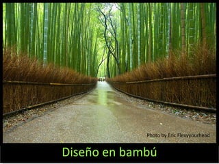 Diseño en bambú Photo by Eric Flexyyourhead 