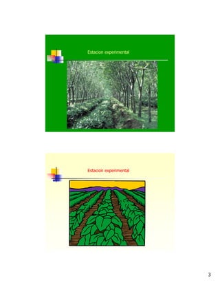 3
Estacion experimental
Estacion experimental
 