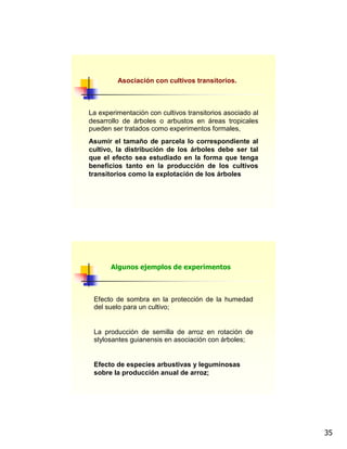 35
Asociación con cultivos transitorios.
La experimentación con cultivos transitorios asociado al
desarrollo de árboles o arbustos en áreas tropicales
pueden ser tratados como experimentos formales,
Asumir el tamaño de parcela lo correspondiente al
cultivo, la distribución de los árboles debe ser tal
que el efecto sea estudiado en la forma que tenga
beneficios tanto en la producción de los cultivos
transitorios como la explotación de los árboles
Efecto de sombra en la protección de la humedad
del suelo para un cultivo;
La producción de semilla de arroz en rotación de
stylosantes guianensis en asociación con árboles;
Efecto de especies arbustivas y leguminosas
sobre la producción anual de arroz;
Algunos ejemplos de experimentos
 