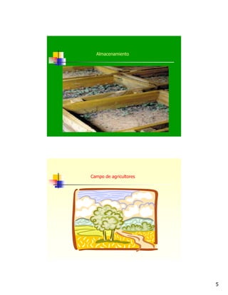 5
Almacenamiento
Campo de agricultores
 
