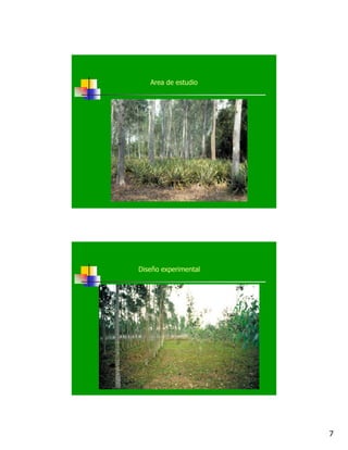 7
Area de estudio
Diseño experimental
 