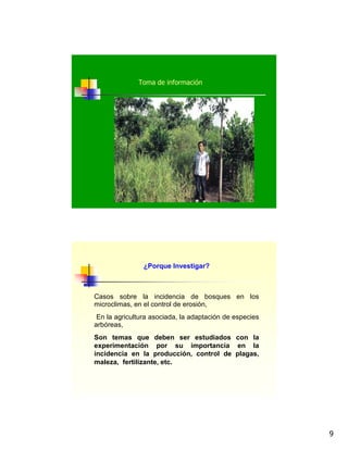 9
Toma de información
¿Porque Investigar?
Casos sobre la incidencia de bosques en los
microclimas, en el control de erosión,
En la agricultura asociada, la adaptación de especies
arbóreas,
Son temas que deben ser estudiados con la
experimentación por su importancia en la
incidencia en la producción, control de plagas,
maleza, fertilizante, etc.
 