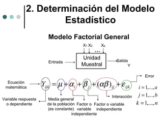 2. Determinación del Modelo
Estadístico
Modelo Factorial General
X1 X2

Entrada

Xp

…
Unidad
Muestral

Salida
Y
Error

Ecuación
matemática
Variable respuesta
o dependiente

Yijk = µ + α i + β j + (αβ ) ij + ε ijk
Interacción
Media general
de la población Factor o Factor o variable
(es constante) variable independiente
independiente

i = 1,..., a
j = 1,..., b

k = 1,..., n

 